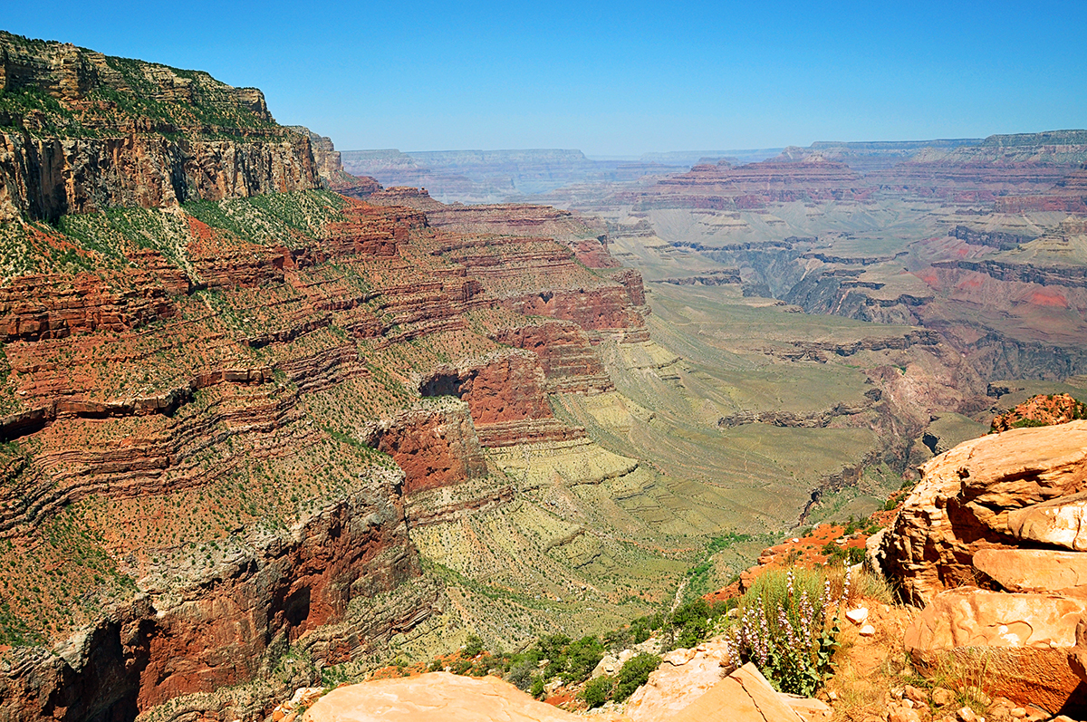 Grand Canyon - Tumbleweed Journal