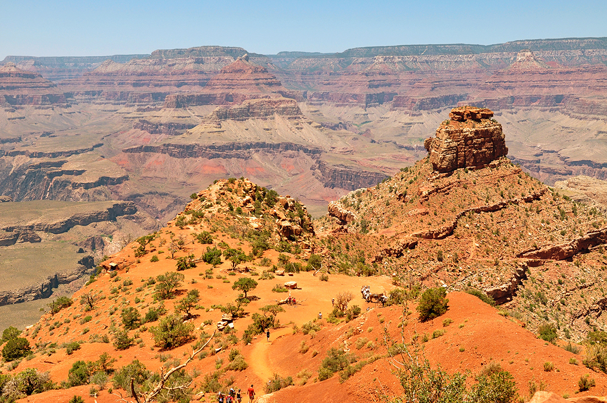 The Grand Canyon - Tumbleweed Journal